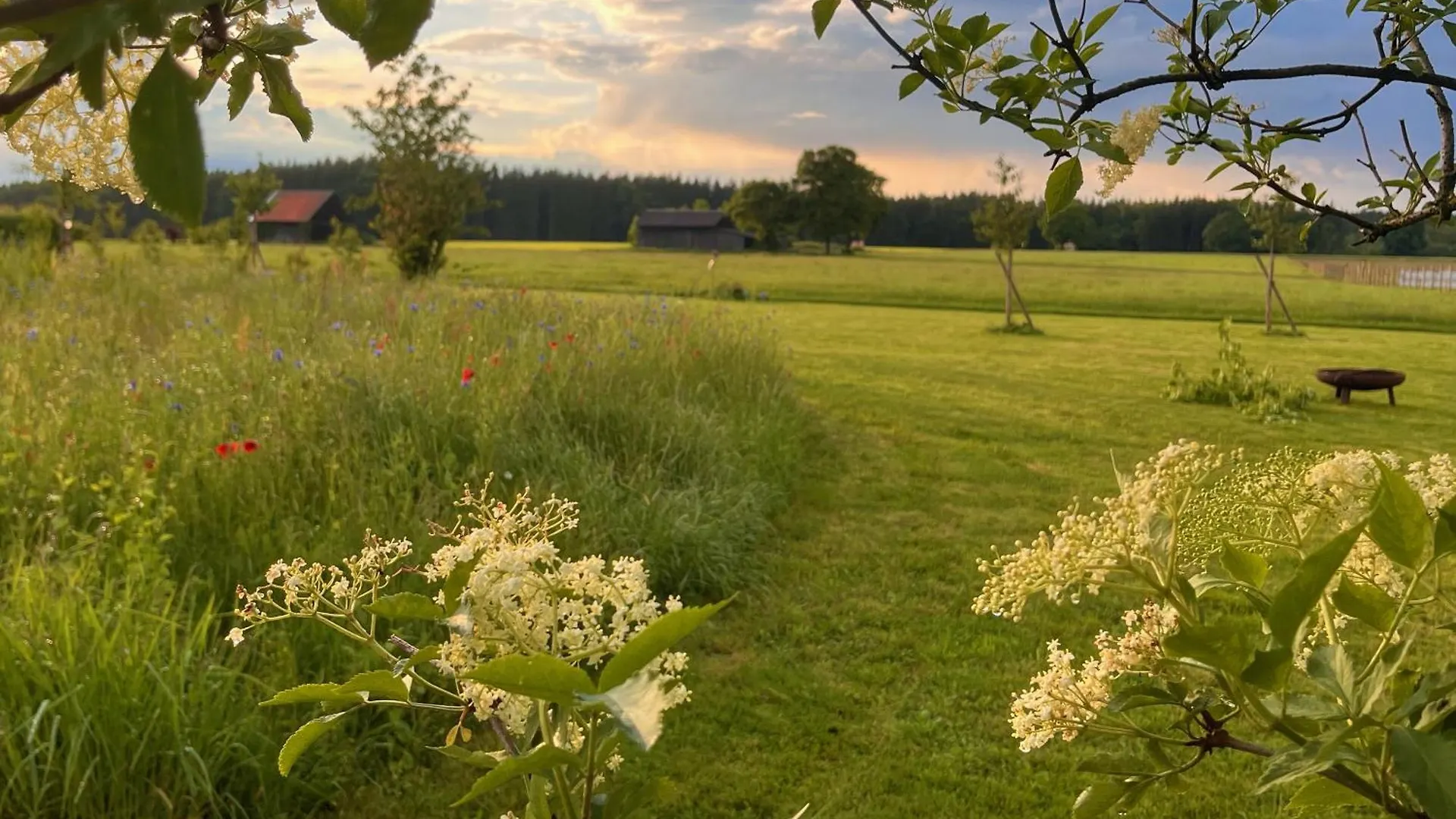 Ferienwohnung Kleines Paradies Mit Privater Sauna Erkheim Apartment
